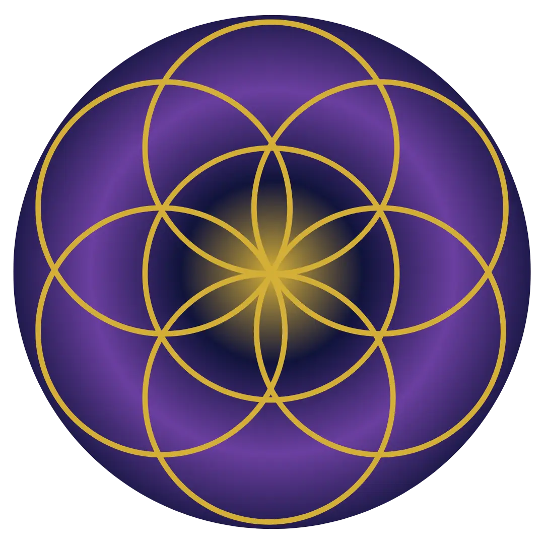 379Logo-Școala MULTIDIMENSIONALĂ
