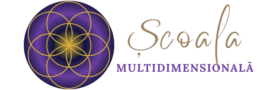 Logo 1121-transparent-Școala Multidimensionala 900x 300 px