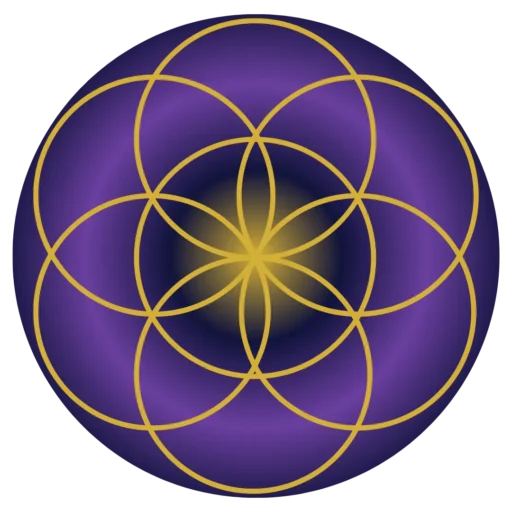 379Logo-Școala MULTIDIMENSIONALĂ