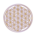 Ziua 3