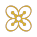 Ziua 1